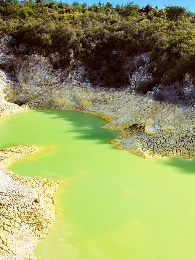 🌿 Waitopu Valley: Where Avocado Groves Meet Geothermal Magic! ♨️🥑