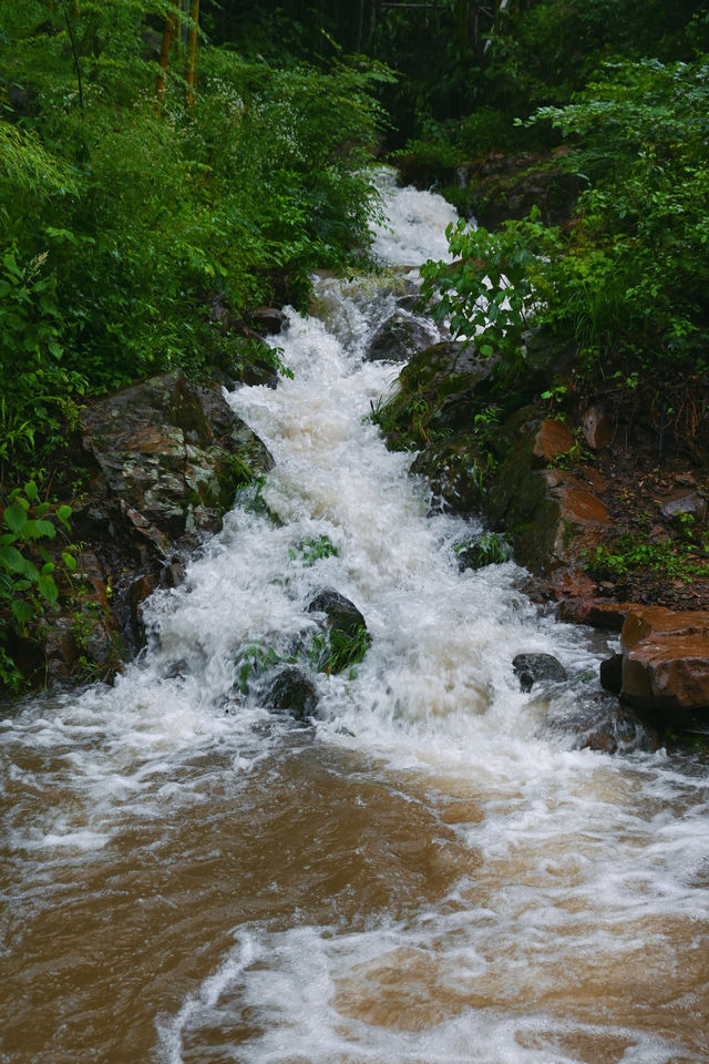 雨天躲進安吉這家山野民宿治癒感直接拉滿