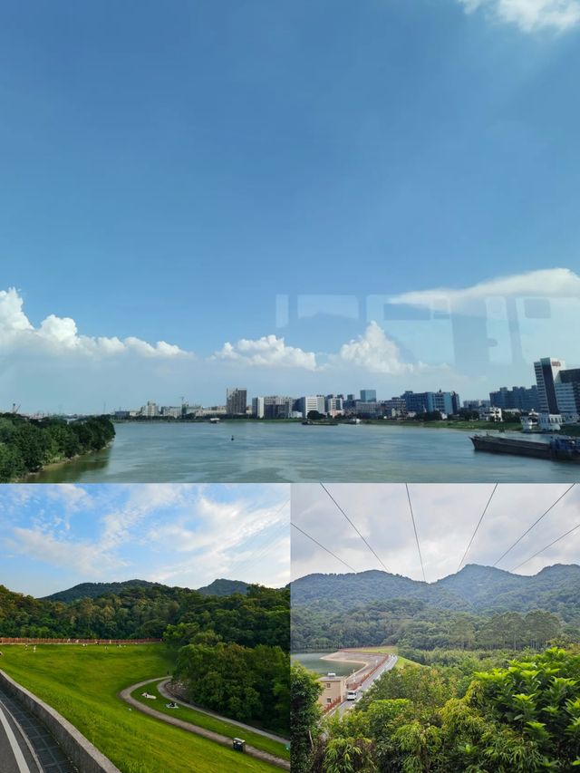 飛越白雲山！白雲飛索刺激風景雙在線！