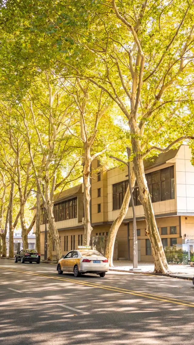 우한의 해방대로 상치우는 사진 찍기 좋은 곳으로, 이곳에서 하루 종일 여유롭게 시간을 보낼 수 있습니다.