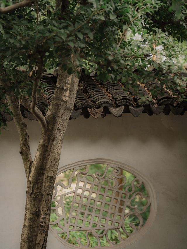 陰天的滄浪亭，才是蘇州園林的詩意天花板