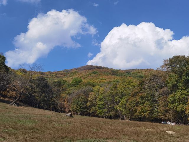 秋山