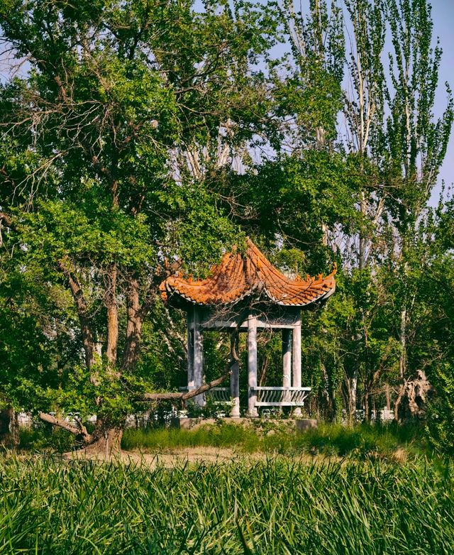 河西公園的夏日童話與敕勒居的溫柔歸處 河西公園的夏日童話與敕勒居的溫柔歸處