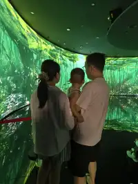 西溪濕地博物館太適合遛娃啦
