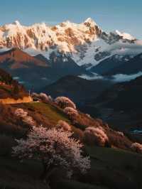親子旅行攻略｜帶娃衝南極洛！住既下山+輕徒步攻略​