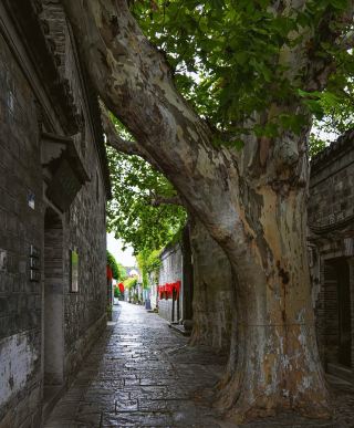 Jishan, Shanxi is a place full of history and cultural heritage
