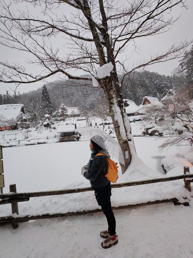 飛驒民俗村的那場大雪