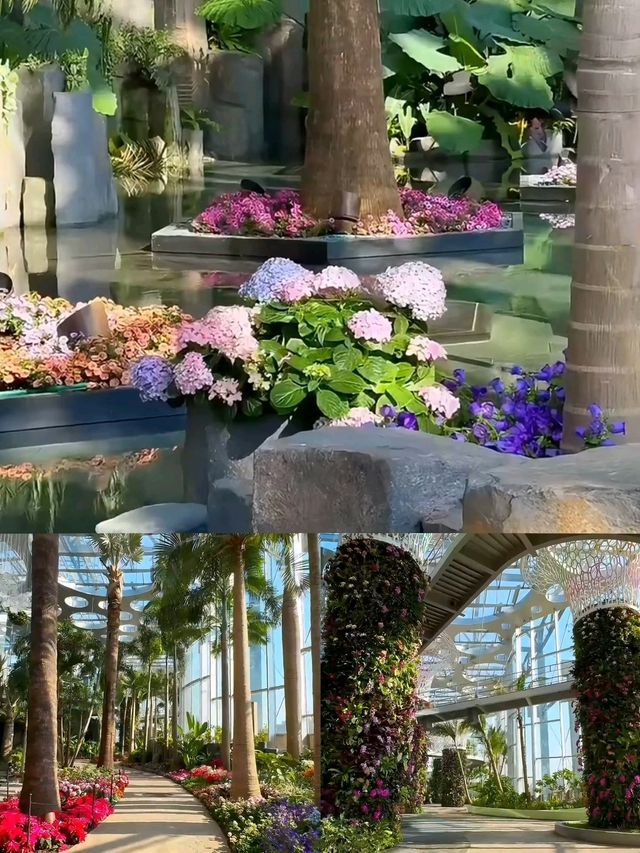 以為海洋館已經夠美了,直到到了水底森林 以為海洋館已經夠美了,直到到了水底森林
