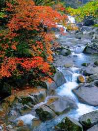在四川邂逅油畫般的秋天米倉山紅葉季美哭我了!