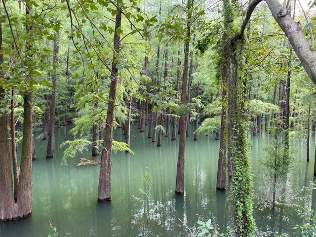 挑戰中山「小九寨」!五桂山石寨水庫暴走全攻略,每一步都是風景 挑戰中山「小九寨」!五桂山石寨水庫暴走全攻略,每一步都是風景