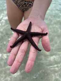 Fantastic Getaway Experience