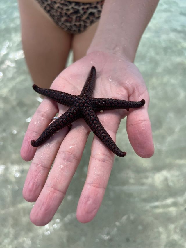 Fantastic Getaway Experience