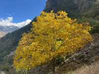 天堂在左雨崩在右住雨崩高品質觀景酒店