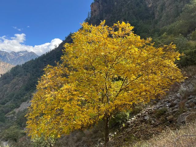 天堂在左雨崩在右住雨崩高品質觀景酒店