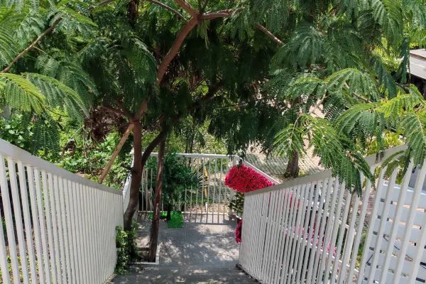 在雲霧與稻香間,邂逅白族風情的溫泉詩畫 在雲霧與稻香間,邂逅白族風情的溫泉詩畫