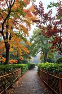 秋日仙境｜藏在雲平山的絕美調色盤