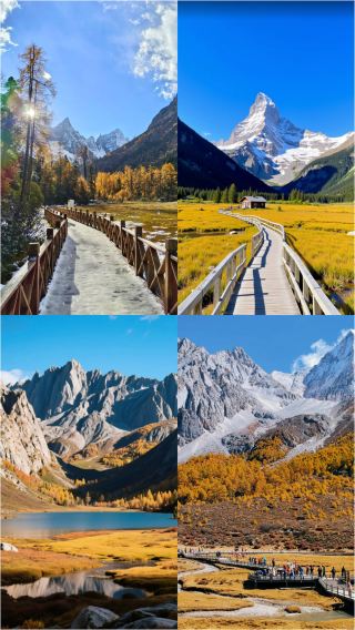 Tôi vừa trở về từ phía tây Tứ Xuyên, hãy để tôi kể cho bạn nghe một số sự thật phũ phàng.