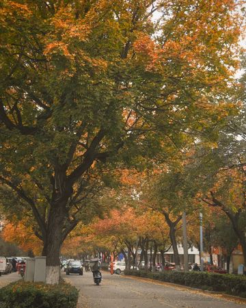 還得是西安的小香港啊!紡正街 還得是西安的小香港啊!紡正街