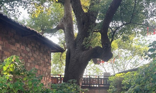 古鎮裡的時光隧道 古鎮裡的時光隧道