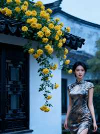 衢州古風禪意大片！穿旗袍賞櫻花秒變文藝女主