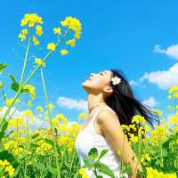 秋遊要去成都等地美到失語