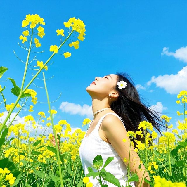 秋遊要去成都等地美到失語