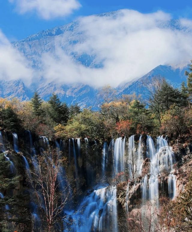 藏在川北的秘境！平武彩林+古寨+瀑布，5天承包深秋浪漫