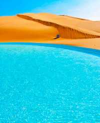 沙漠騎駝走天涯