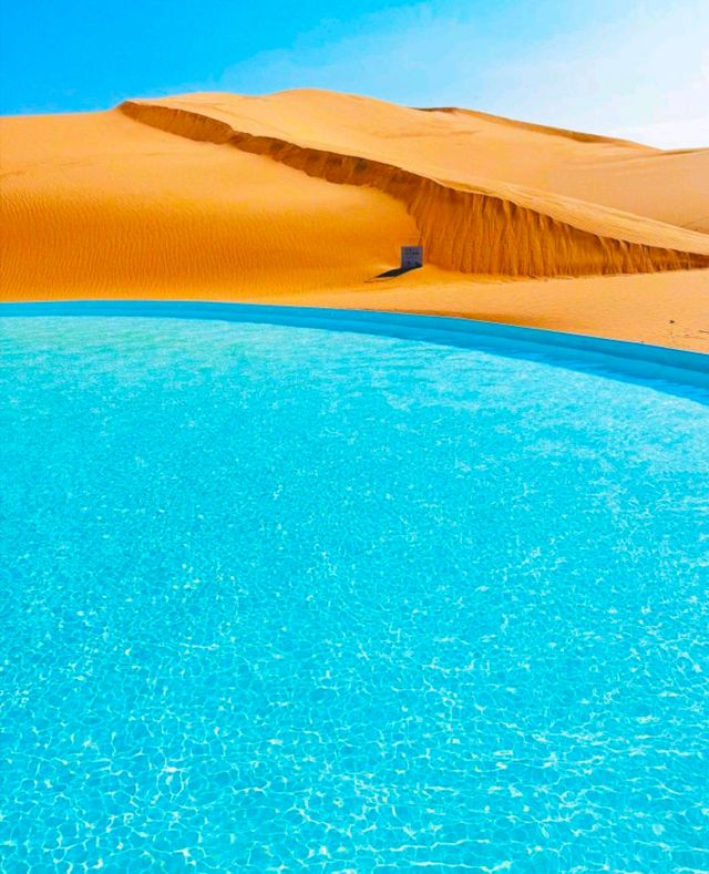 沙漠騎駝走天涯