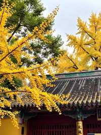 天水古城｜這座被低估的絲路遺珠藏了多少驚喜！