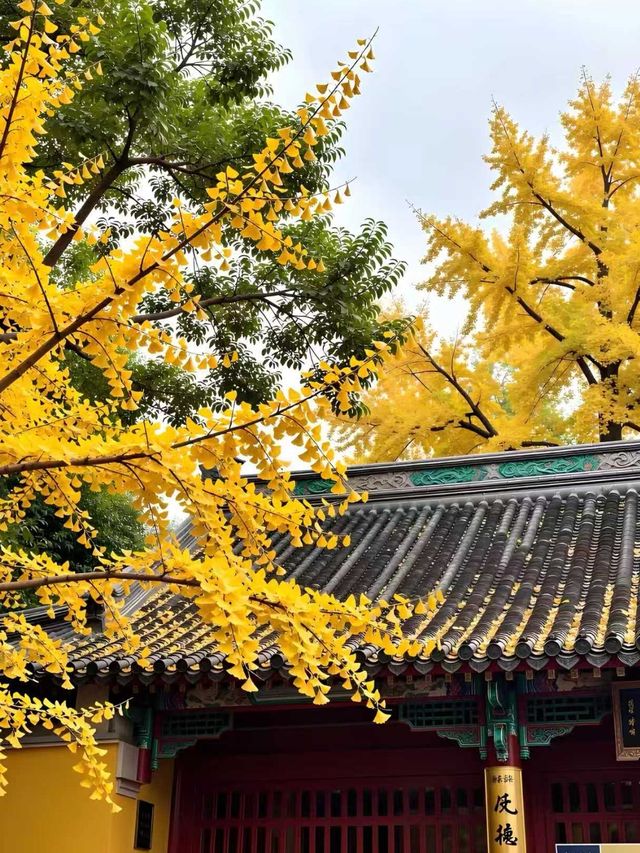 天水古城｜這座被低估的絲路遺珠藏了多少驚喜！