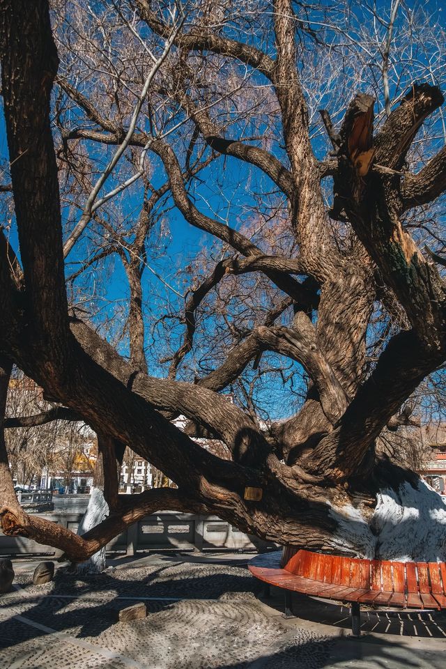 布達拉宮神秘機位曝光！99%的人不知道的絕美拍攝點
