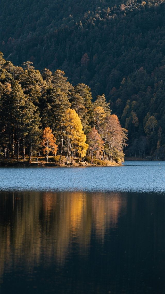 11月的香格里拉三天兩晚，旅行攻略！  十一月的香格里拉， 秋色未盡，初雪已落， 普達措的屬都湖倒映