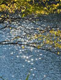 在廬山，抓住了秋天的尾巴