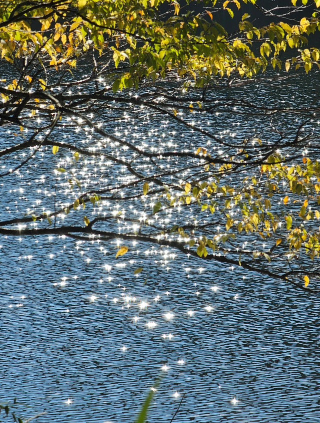 在廬山，抓住了秋天的尾巴