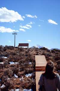 日照金山，雪山彩林，我在川西的油畫世界拍大片！