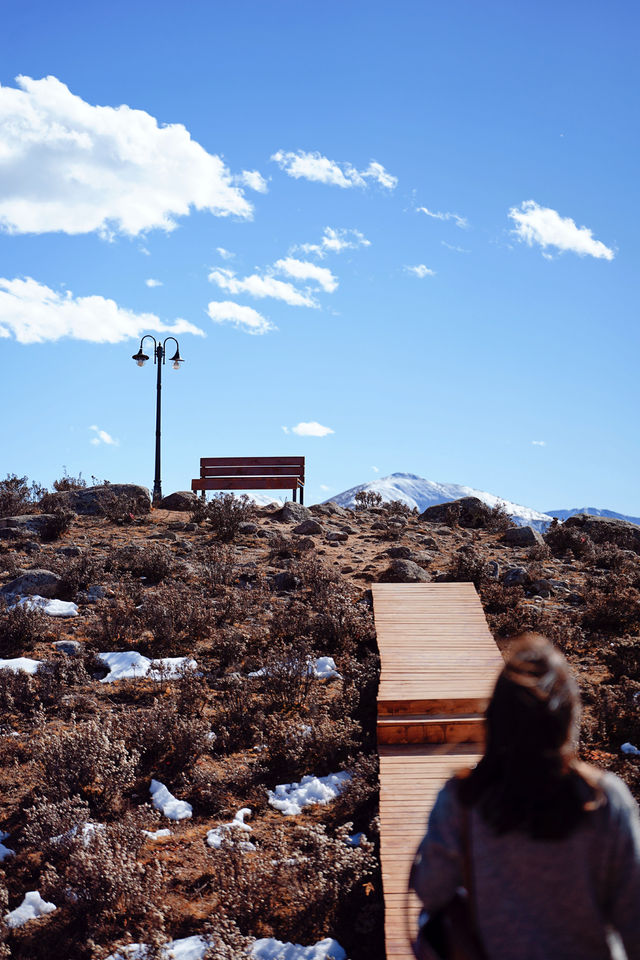 日照金山，雪山彩林，我在川西的油畫世界拍大片！