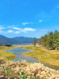 上海3h直達!初冬闖入畫龍村,在浙東古道邂逅瀑布梯田與治癒