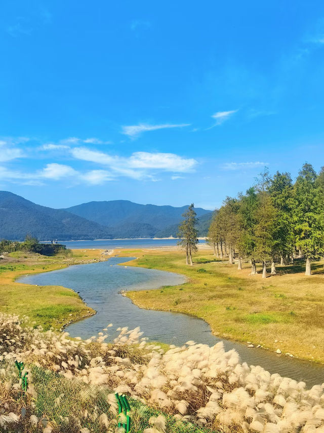 上海3h直達!初冬闖入畫龍村,在浙東古道邂逅瀑布梯田與治癒 上海3h直達!初冬闖入畫龍村,在浙東古道邂逅瀑布梯田與治癒
