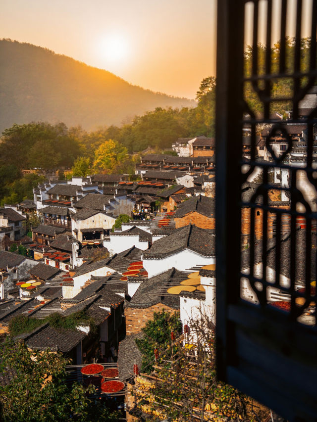 11月後來我逢人便說，婺源的秋景有多美