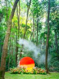 江西小眾寶藏地～被問爆的龜峰仙境