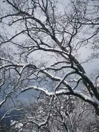 雪落終南｜南五臺初雪徒步攻略 美到窒息