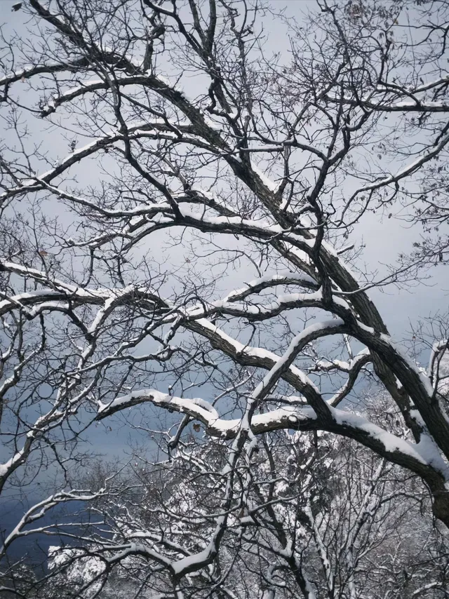 雪落終南｜南五臺初雪徒步攻略 美到窒息