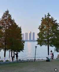 長沙本地人私藏寶藏地！松雅湖濕地公園美到窒息