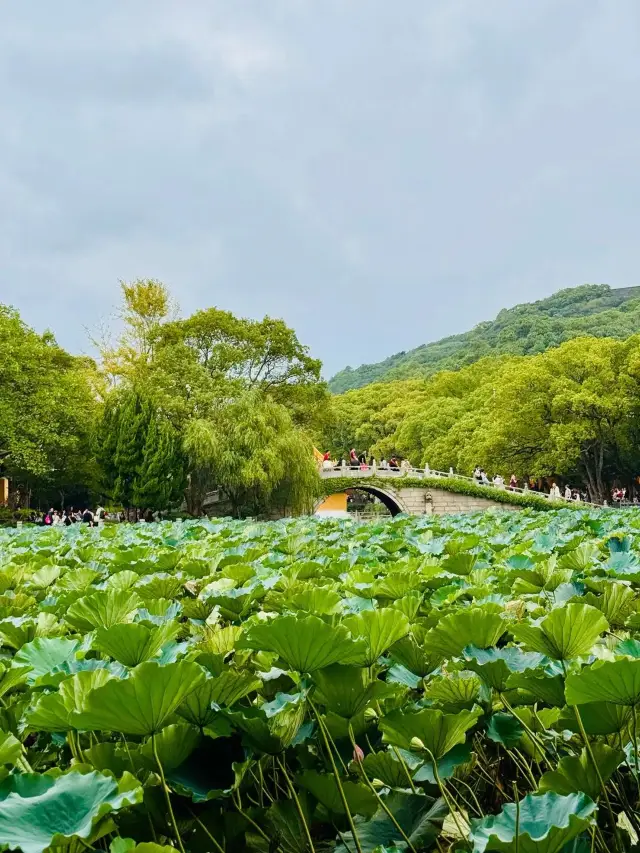 秋遊季3天玩轉舟山超全攻略