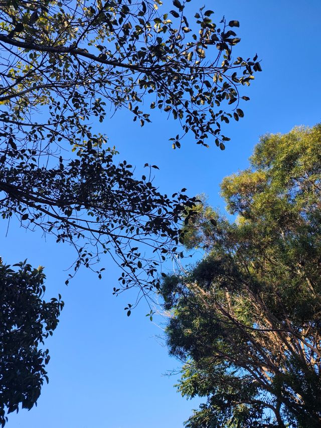 闖入普洱秘境被這片鋪天蓋地的藍治癒了 闖入普洱秘境被這片鋪天蓋地的藍治癒了