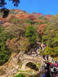 泰山|不僅一覽眾山小,更有色彩斑斕的秋