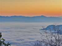 景邁山年度最佳雲海日出觀賞季