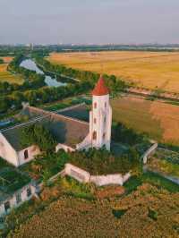 松江童話小村莊張樸村教堂與稻田