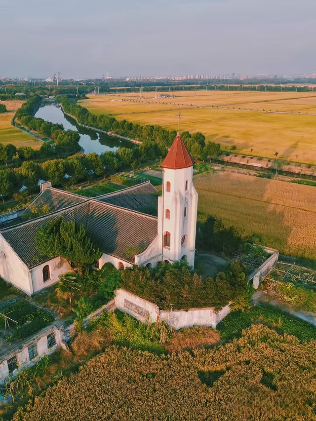 松江童話小村莊張樸村教堂與稻田 松江童話小村莊張樸村教堂與稻田
